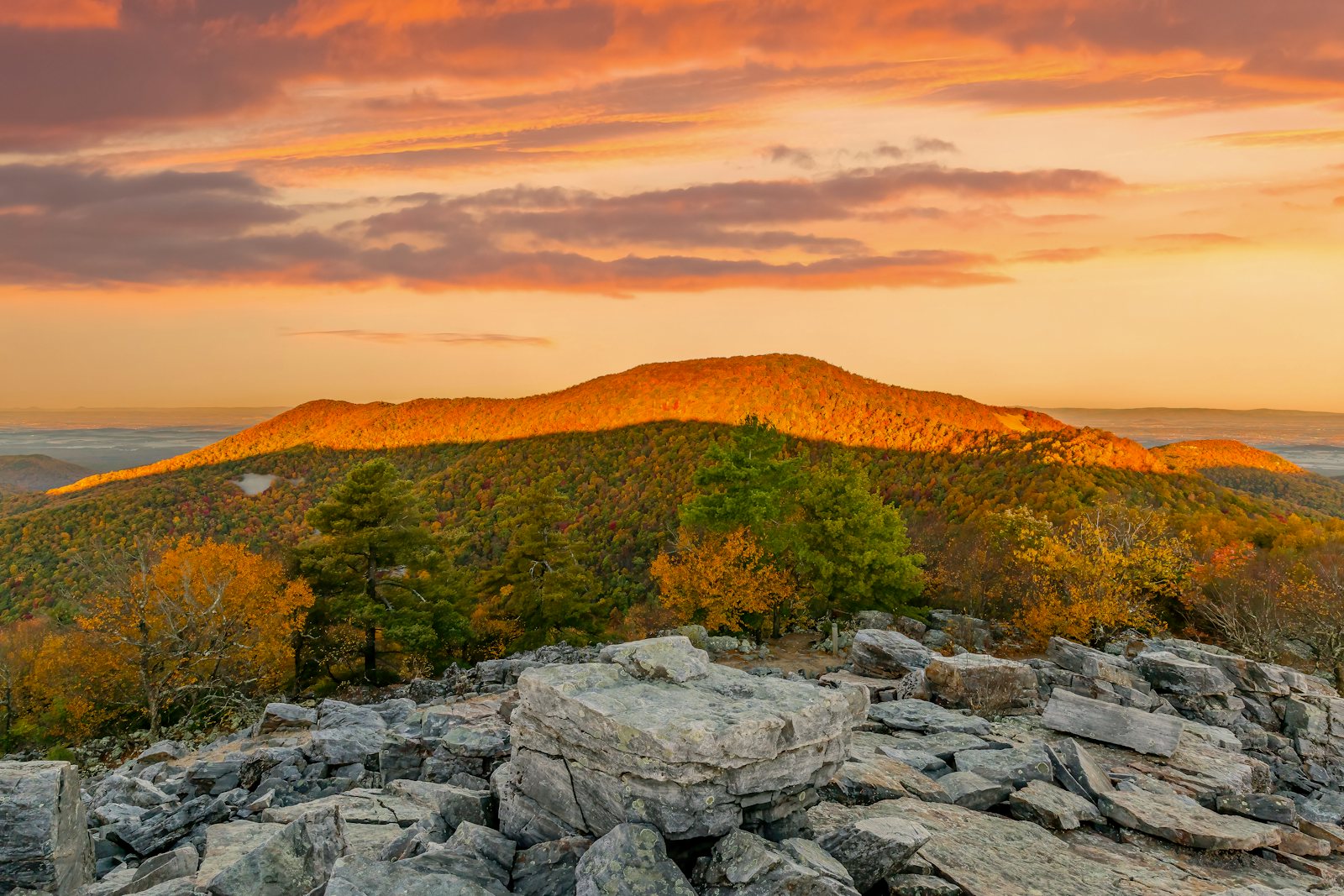 Vibrant fall foliage on Blackrock Summit in Shenandoah National Park, Virginia, USA