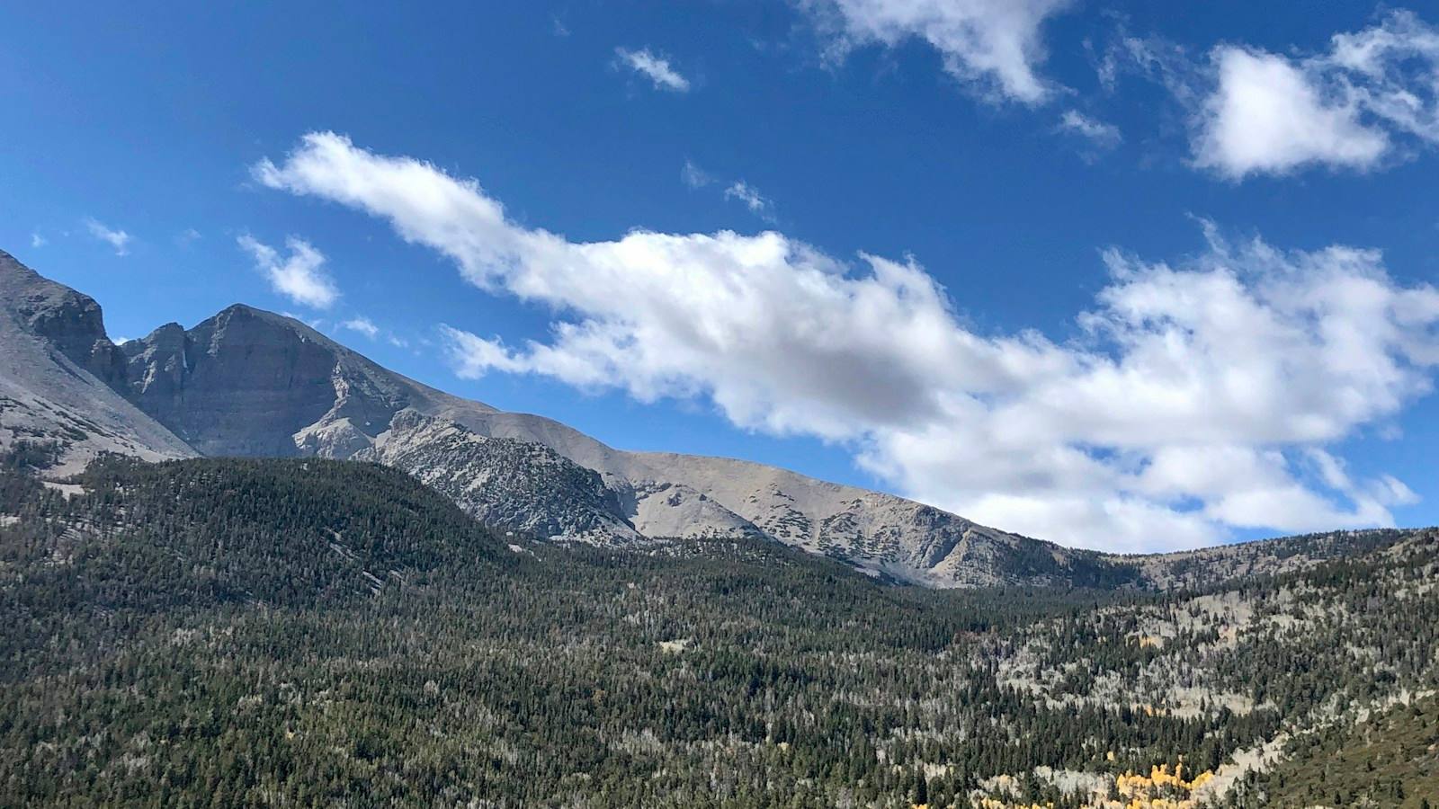 Wheeler Peak