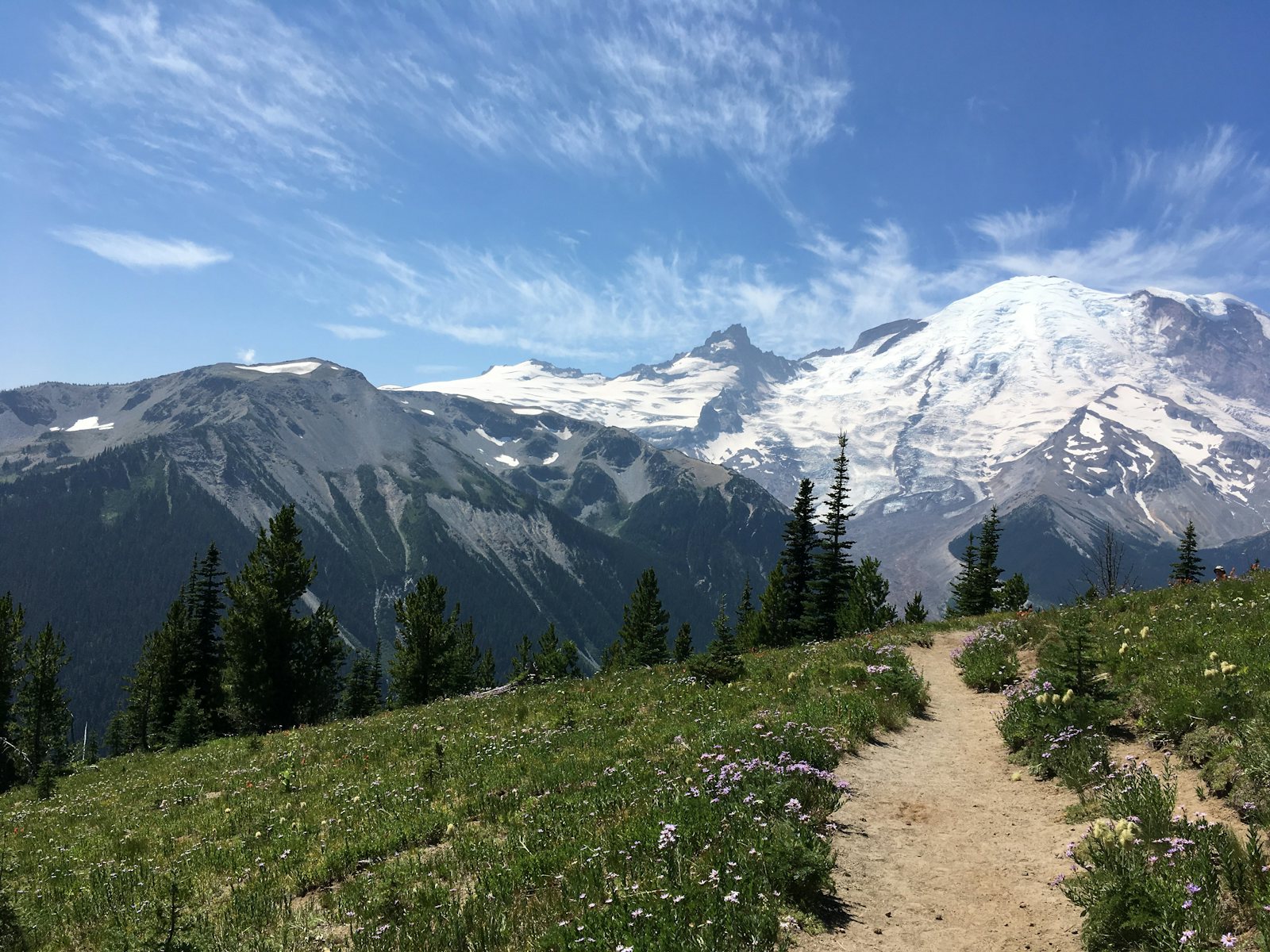 Trail toward Mount Rainier, Mount Rainier National Park